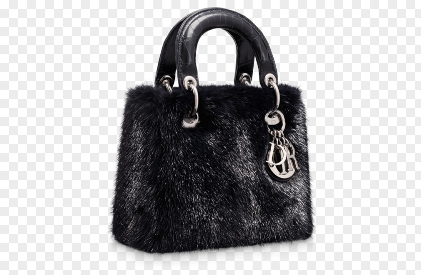Bag Tote Christian Dior SE Fashion Lady PNG