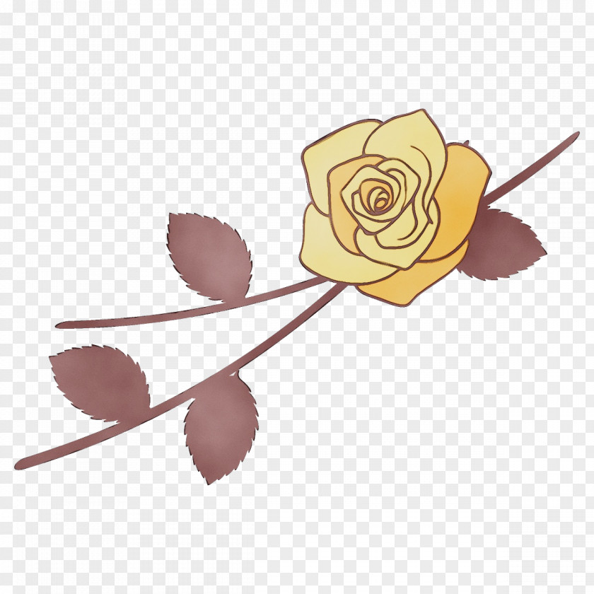 Beige Cut Flowers Rose PNG