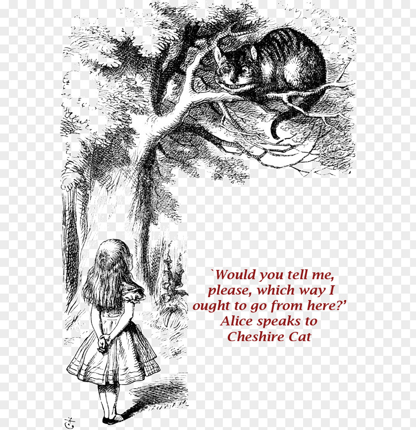 Chesire Cat Alice's Adventures In Wonderland And Through The Looking-Glass Cheshire White Rabbit PNG