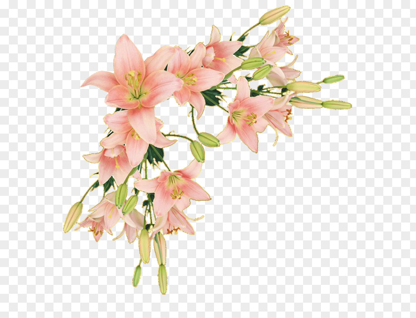 Flower Borders And Frames Clip Art Paper PNG
