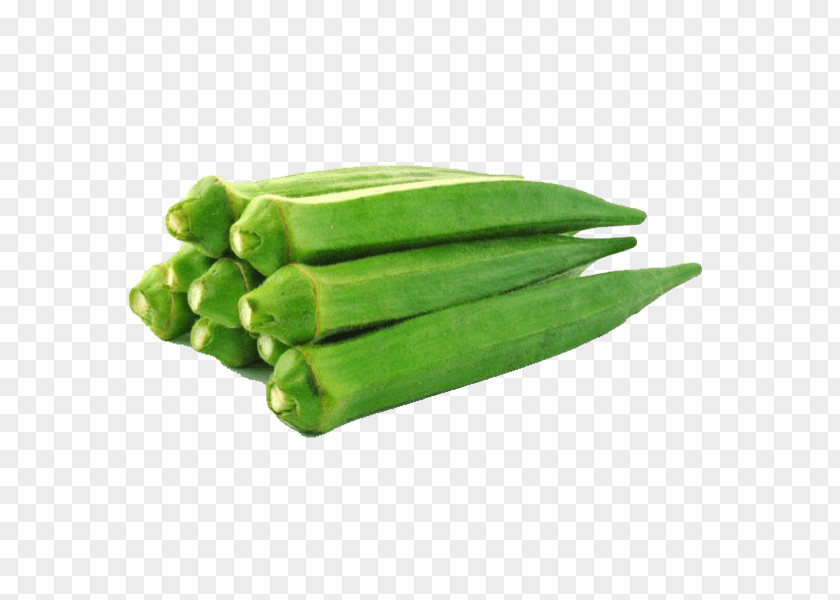Vegetable Okra Indian Cuisine Leaf Pod PNG