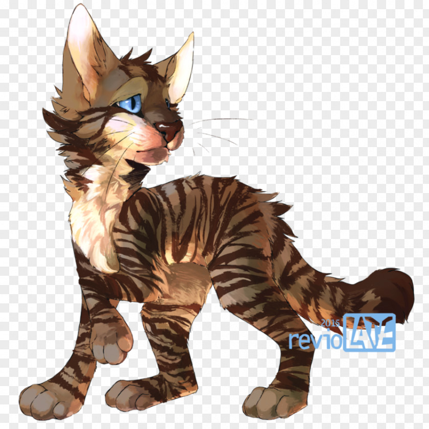 Cat Into The Wild Warriors Littlecloud Whiskers ShadowClan PNG