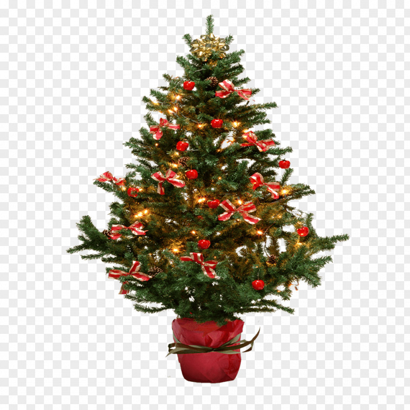 Christmas Tree Ornaments And Small Fir Clip Art PNG