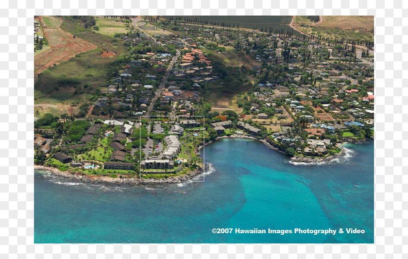 Napili Bay Lahaina Point Resort Coast PNG