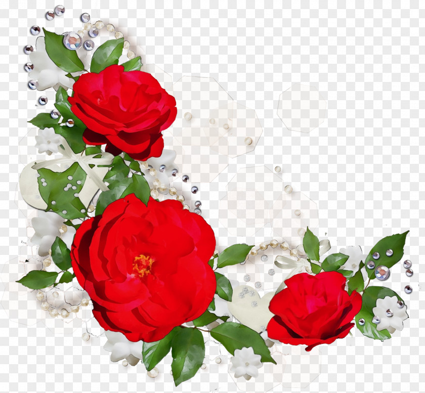 Petal Floribunda Garden Roses PNG