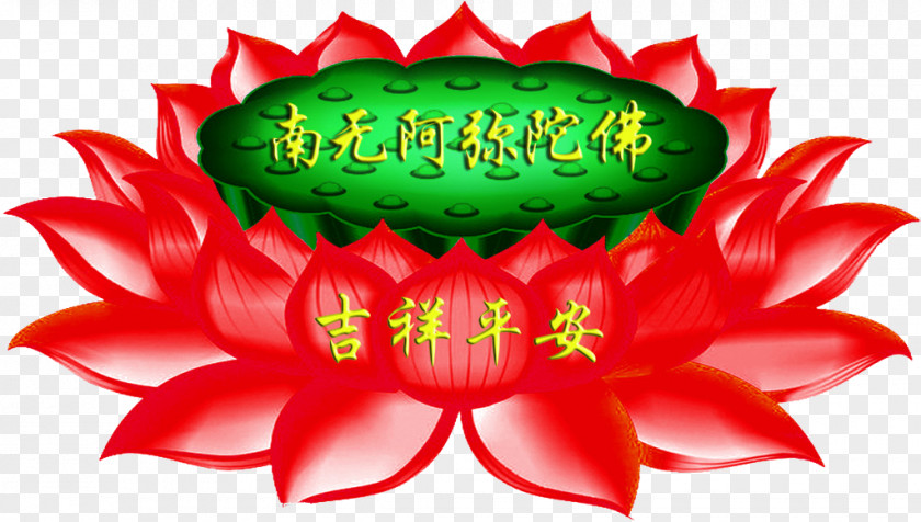 Ping An Auspicious Lotus Nelumbo Nucifera Buddhahood Buddhism PNG