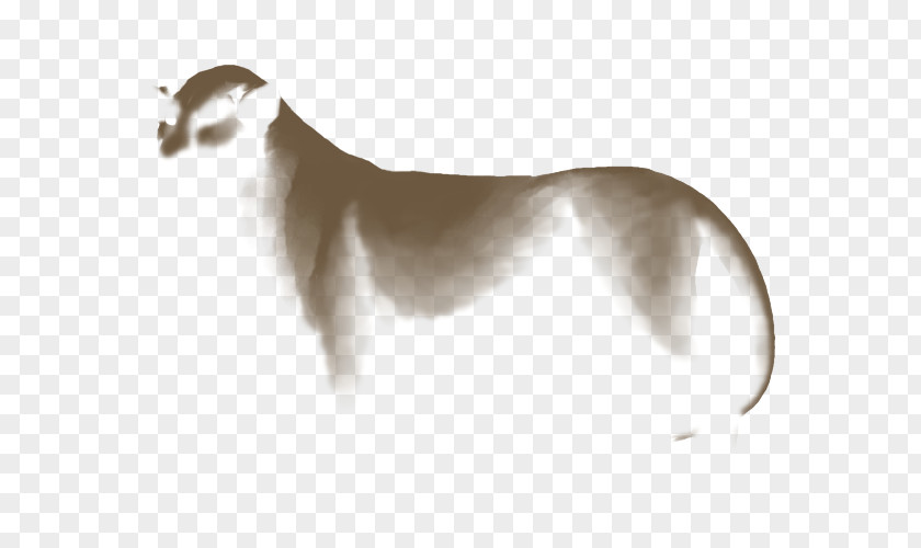 Puppy Dog Breed Italian Greyhound Saluki Whippet Borzoi PNG