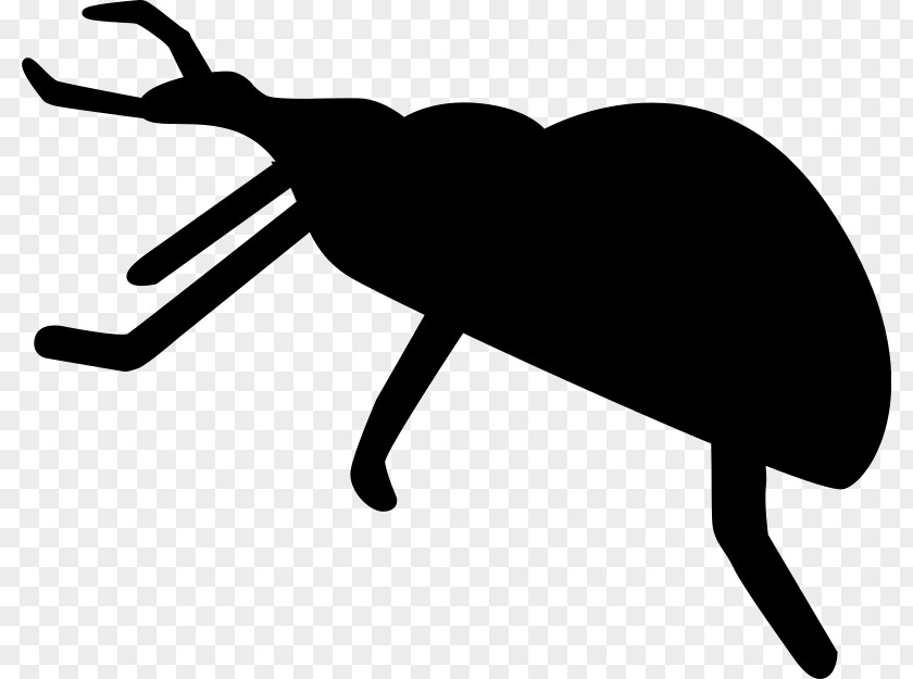 Beetle Silhouette Drawing Clip Art PNG