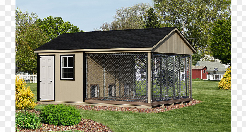 Dog Houses Kennel Puppy PNG