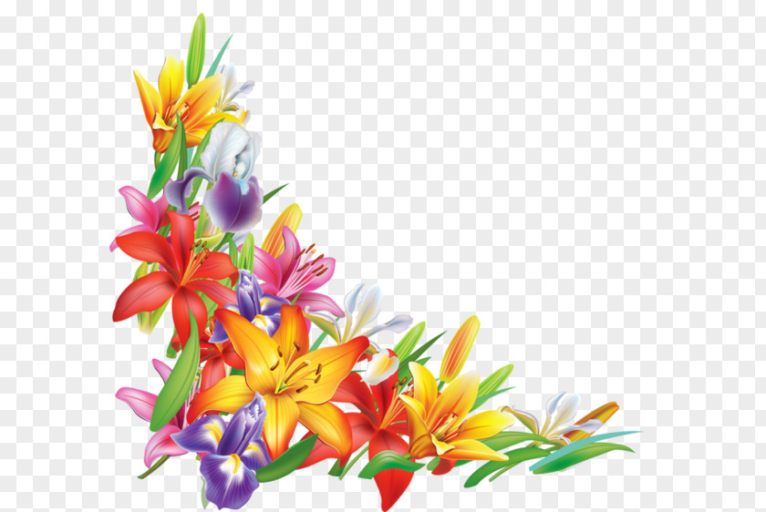 Flower Lilium Picture Frames Clip Art PNG