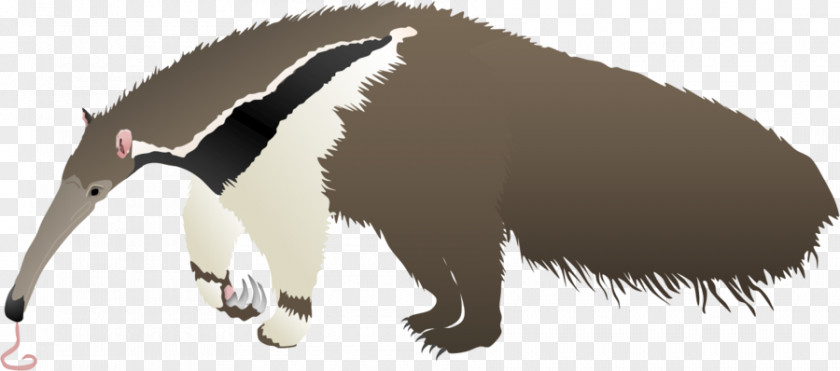 Giant Anteater Aardvark Oroonoko Echidna PNG