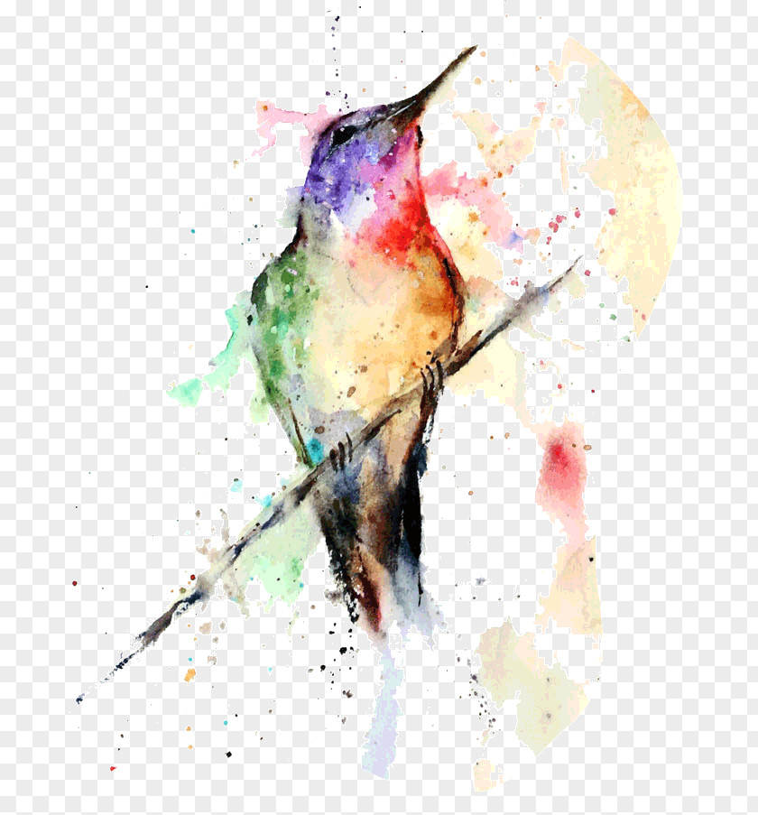 Offset Hummingbird Watercolor Painting Art PNG