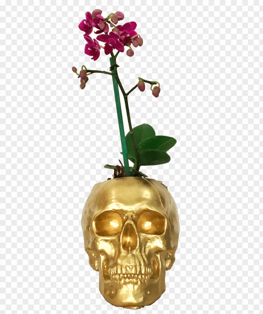 Vase Moth Orchids Metal PNG