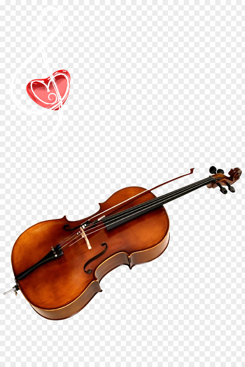 Violin Teaching Bass Violone Double Viola PNG