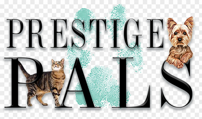 Cat Logo Pet Brand Font PNG