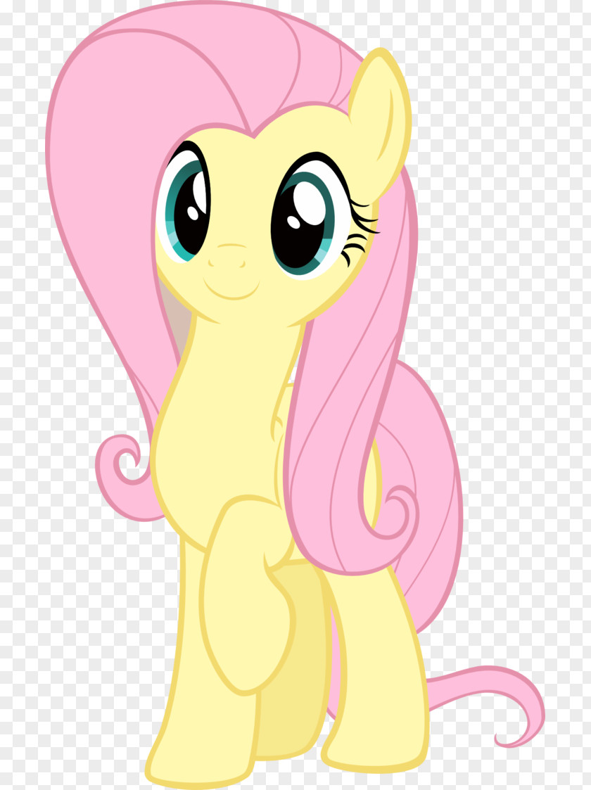 Cutie Map Part 2 Fluttershy Pony Birthday Character Holiday PNG