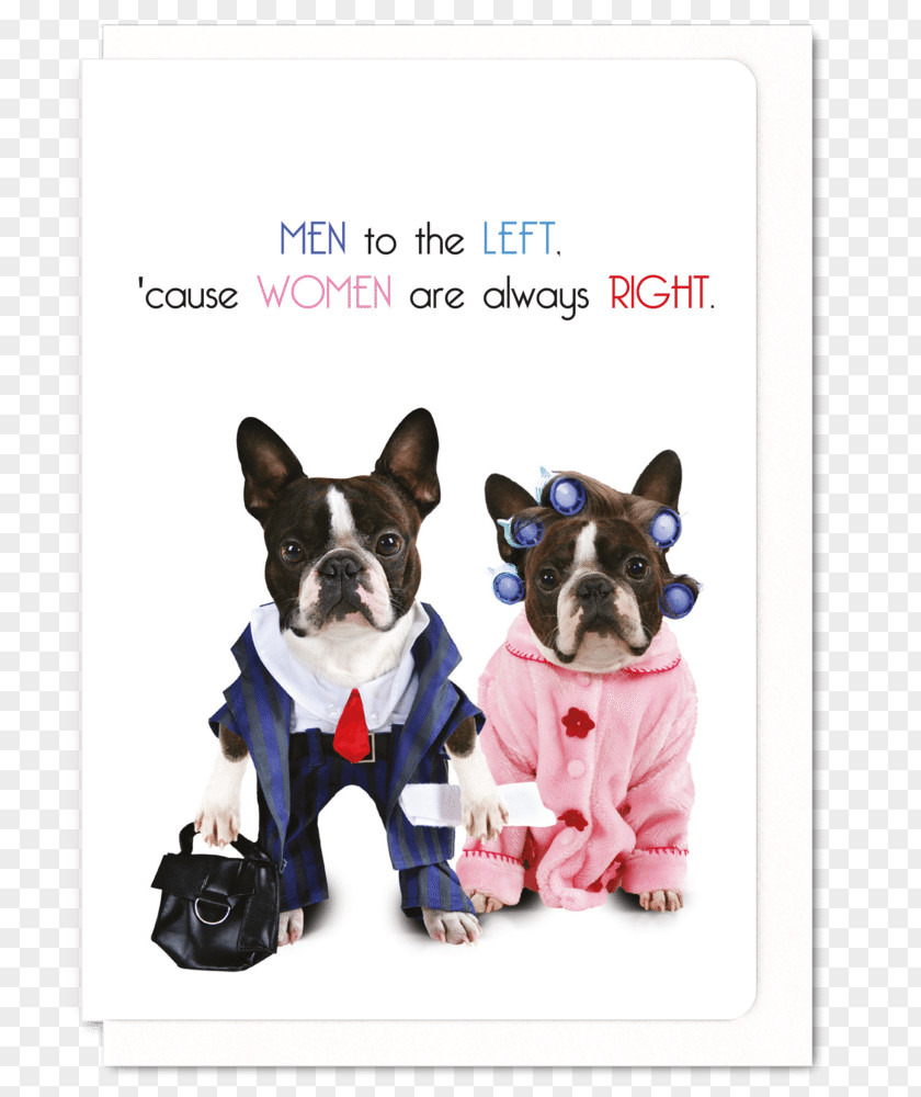 Female Card Boston Terrier Puppy Dog Breed French Bulldog Basset Hound PNG