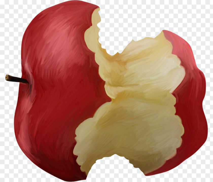 Gnawed Apple Photography Clip Art PNG