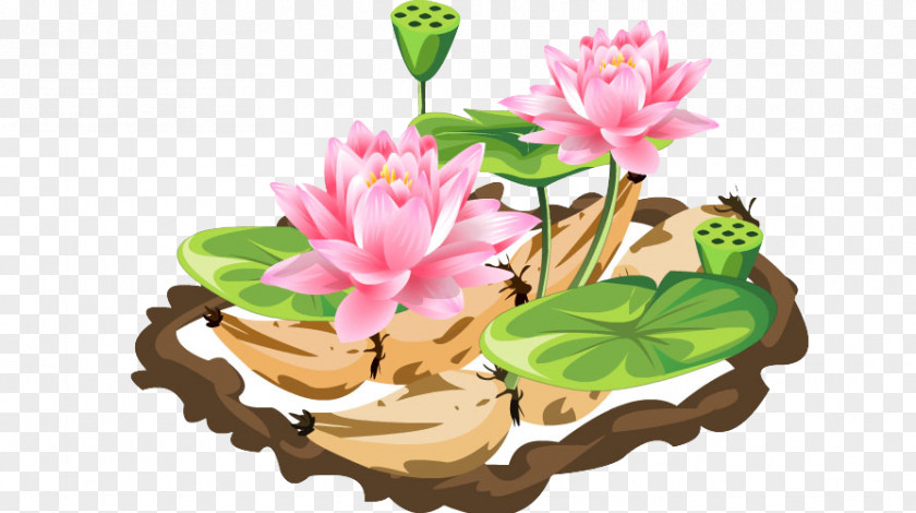 Lotus Floral Design Flowerpot Flowering Plant Herbaceous PNG