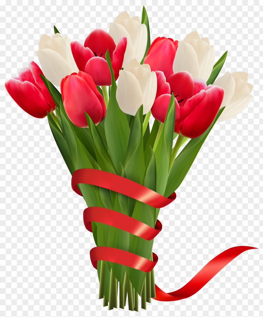 White And Red Tulips With Ribbon Clipart Image PNG