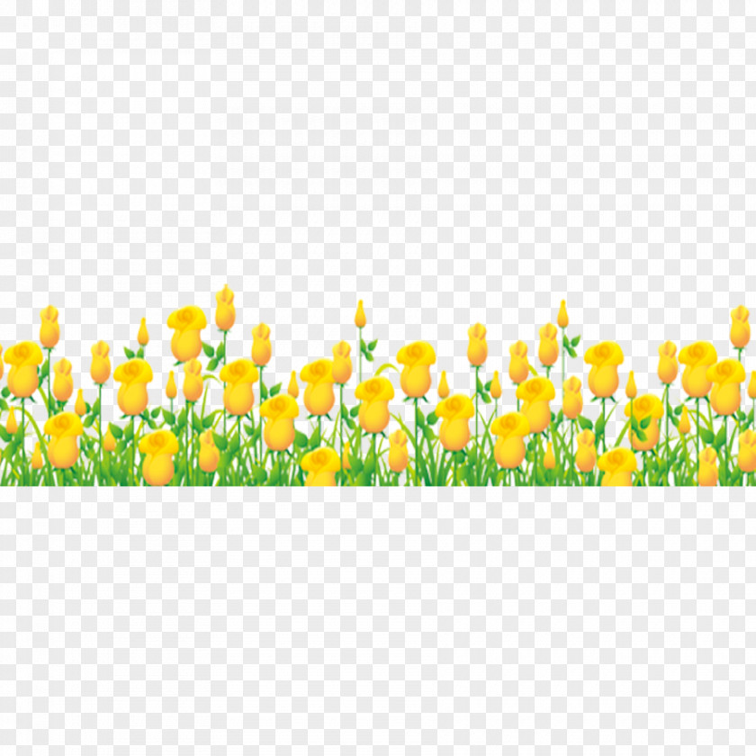 Yellow Tulips Tulip Flower Bouquet Download PNG