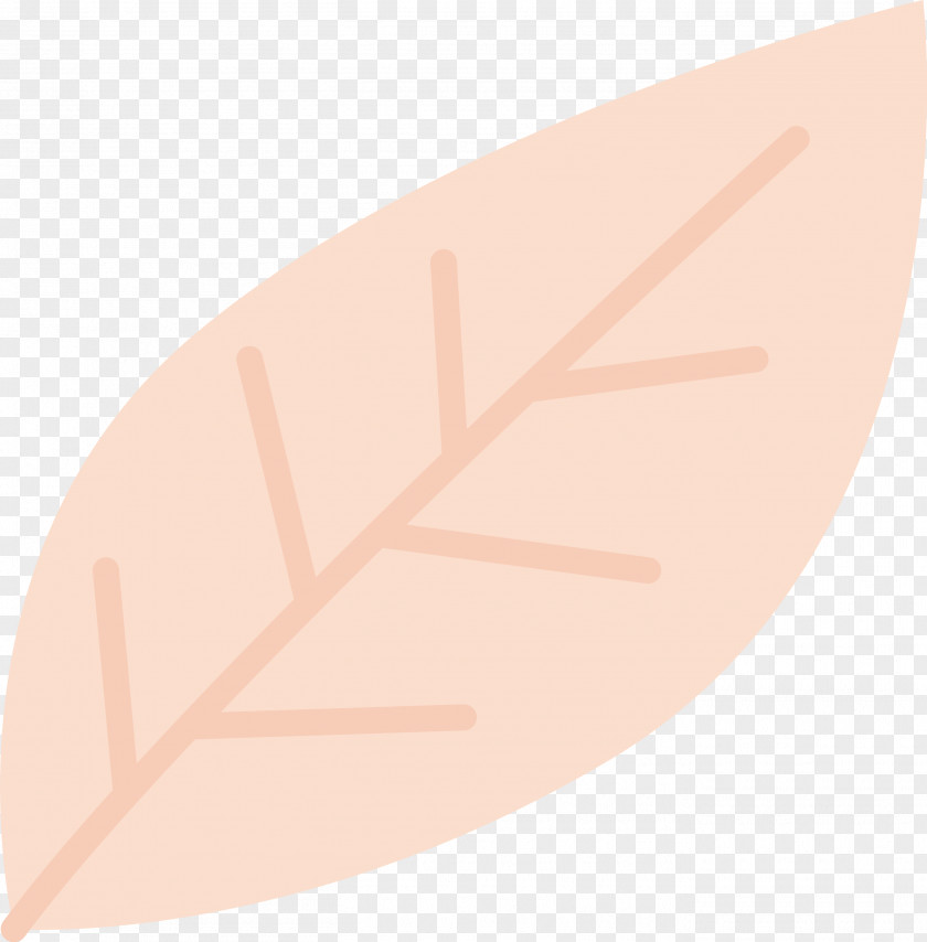 Angle Line PNG