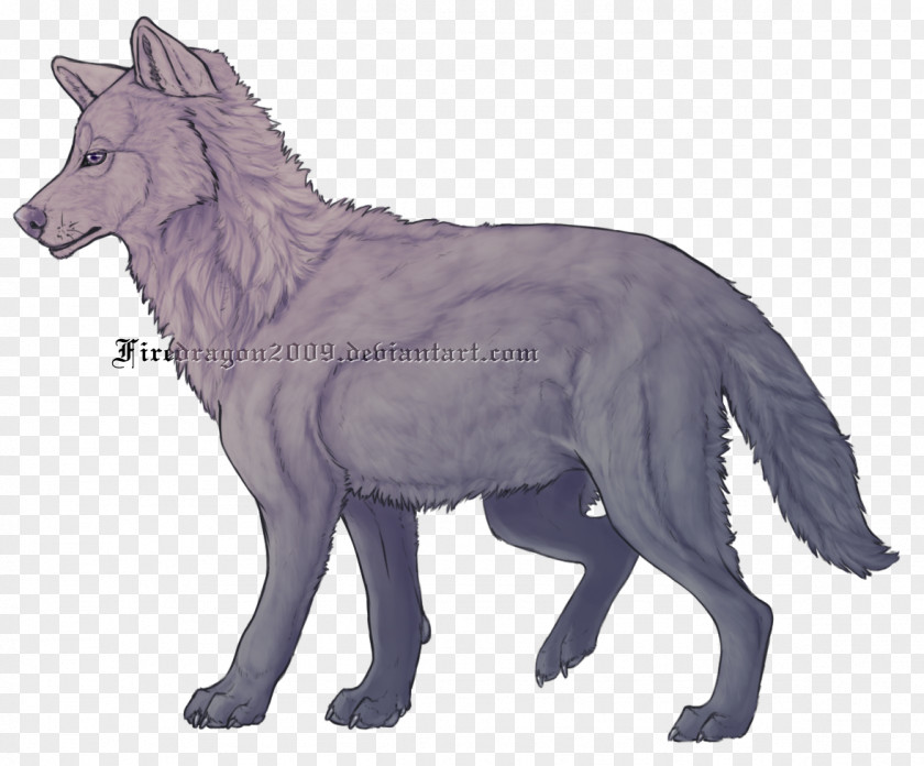 Charachter Gray Wolf Coyote Fauna Wildlife Tail PNG
