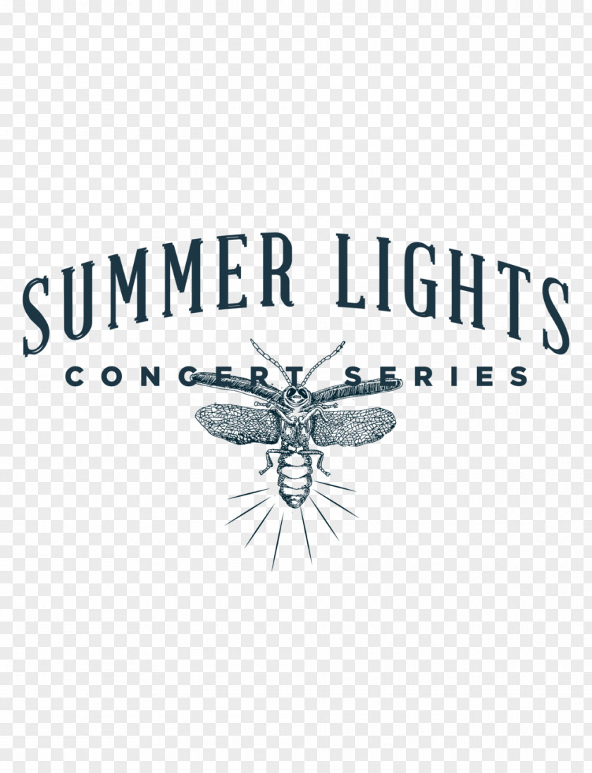 Insect Logo Brand Pollinator Font PNG