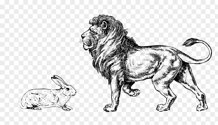 Lion Drawing Transparent Clip Art Illustration PNG