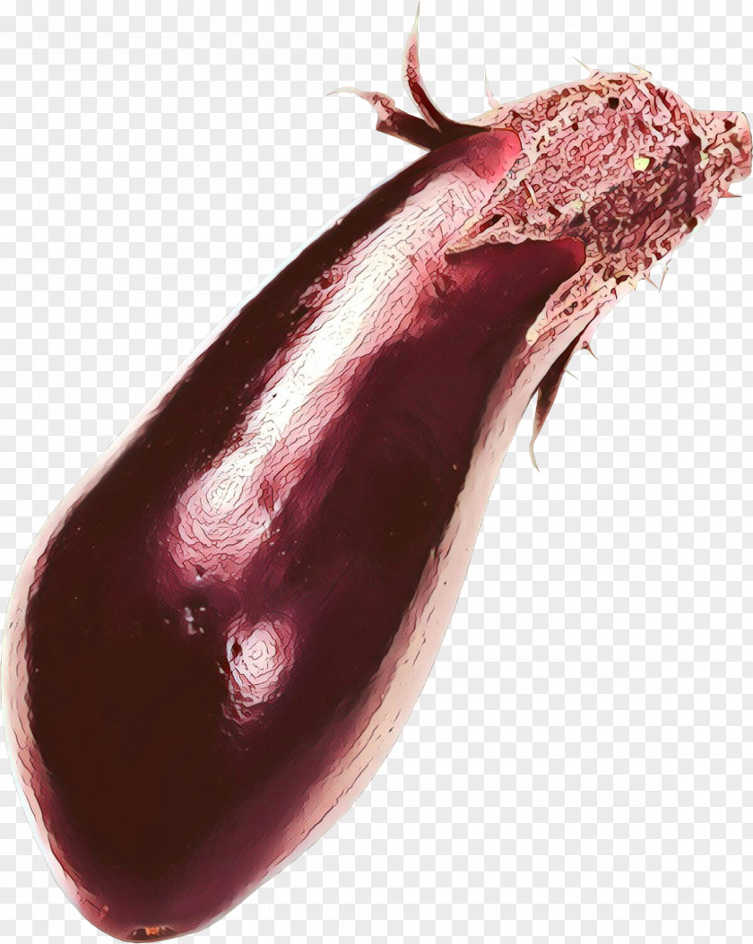 Nepenthes Vegetable Eggplant PNG