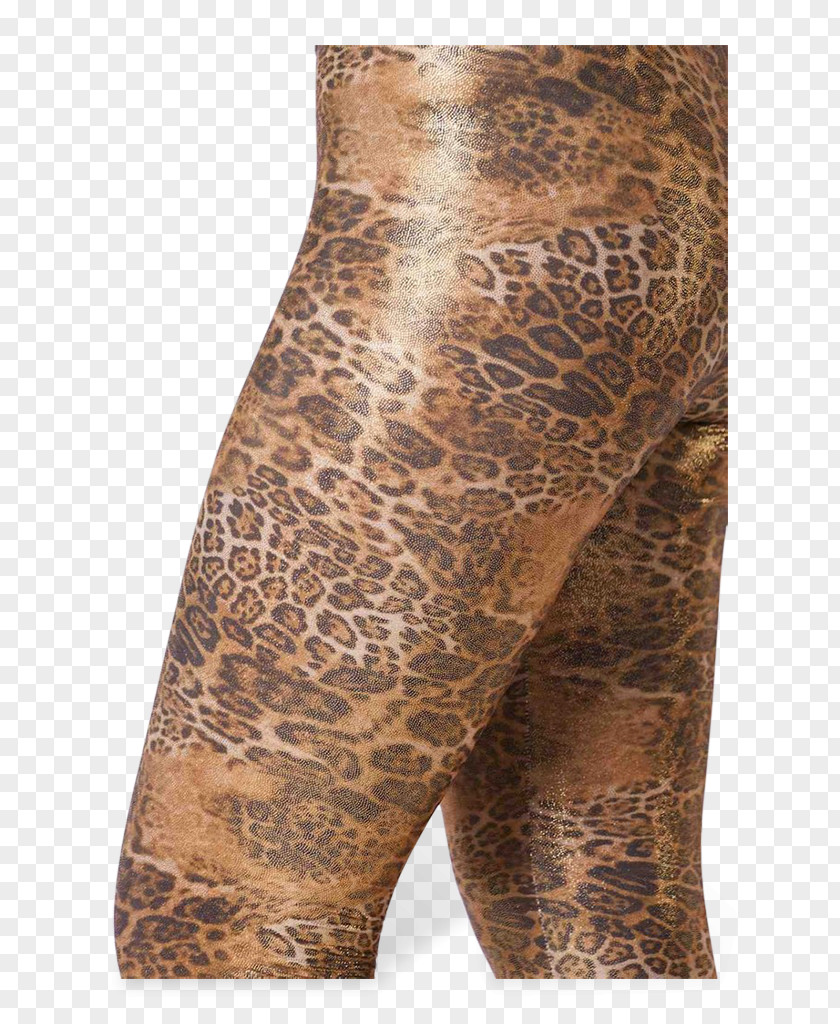 T-shirt Leggings Sisters Point Leopard Woman PNG