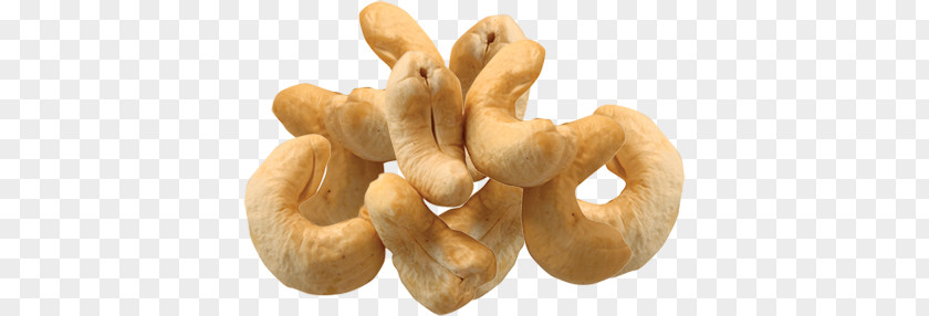 Cashew PNG clipart PNG