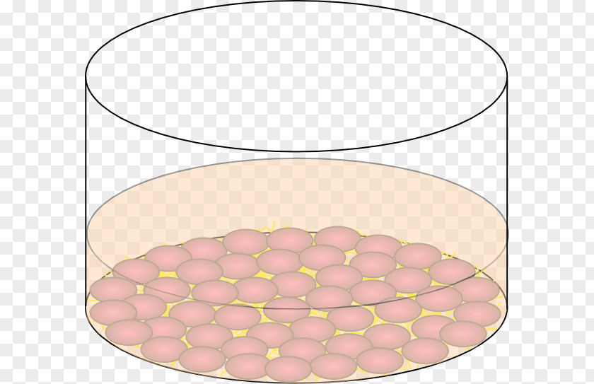 Cells Clip Art Extracellular Matrix PNG