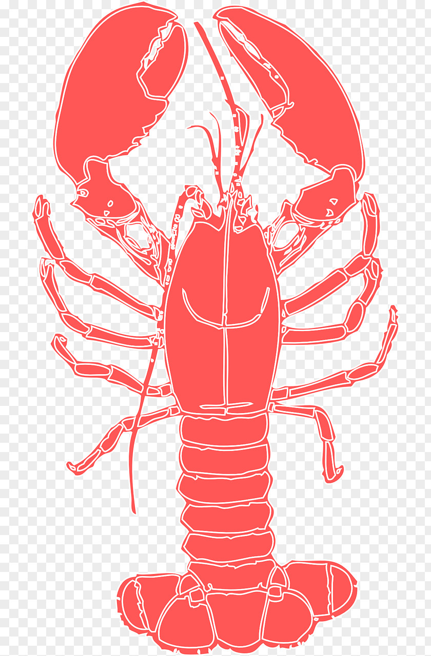 Crab Lobster Crayfish PNG , crab clipart PNG