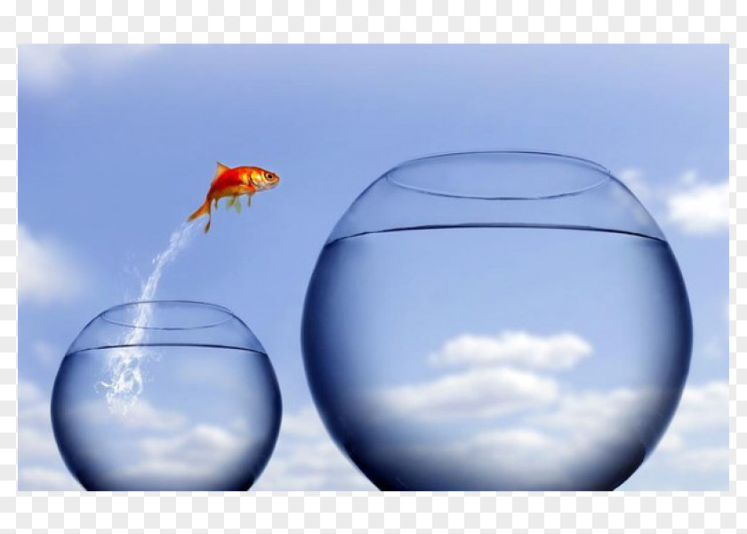 Leap Of Faith Author Jumping Stock Photography PNG
