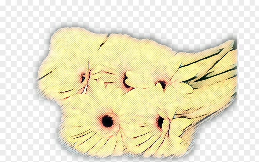 Snout Plants Animal Cartoon PNG