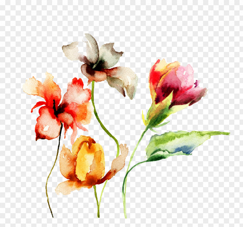 Watercolor Flowers Paper Painting Drawing Flower PNG