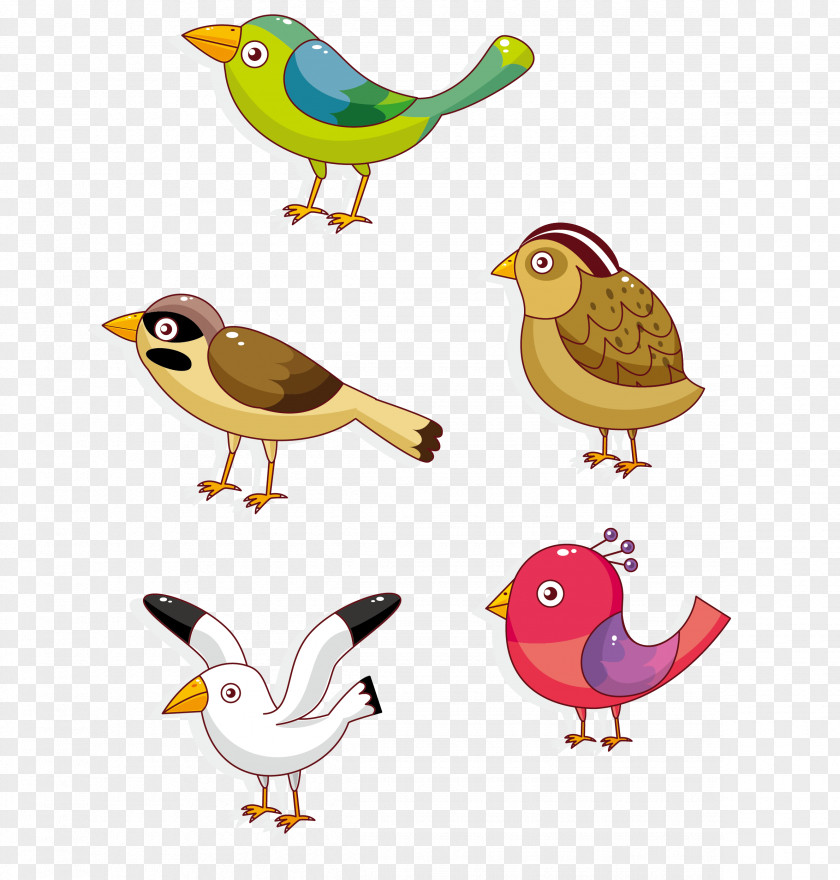 Woodpecker Bird Sparrow Seagull Lovebird Parrot Owl Cartoon PNG