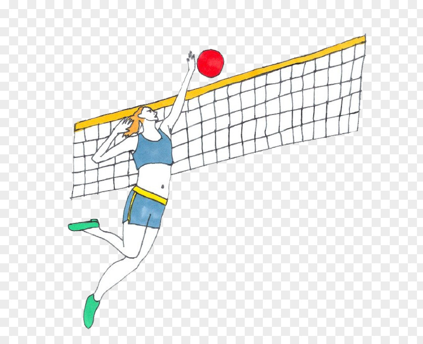 Cartoon Volleyball Australia Fashion Drawing Illustration PNG