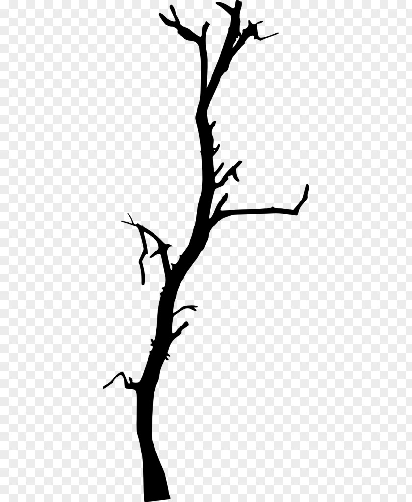 Dead Tree Material Twig Clip Art PNG