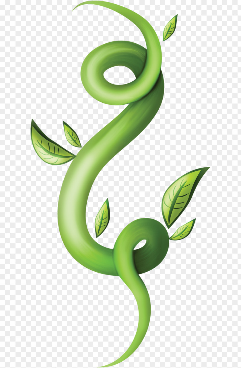 Leaf Green Plant Stem Clip Art PNG