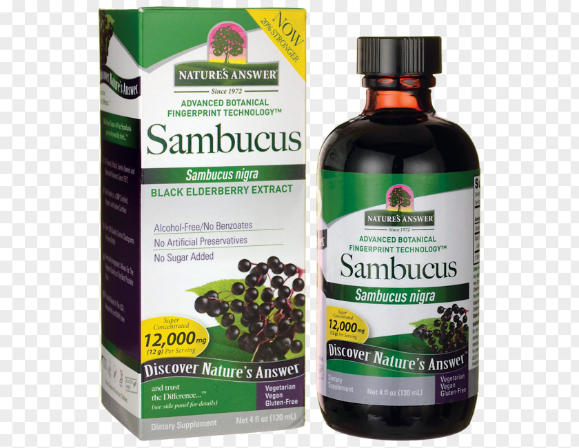 Sambucus Nigra Elder Extract Ounce Plant Ginkgo Biloba PNG