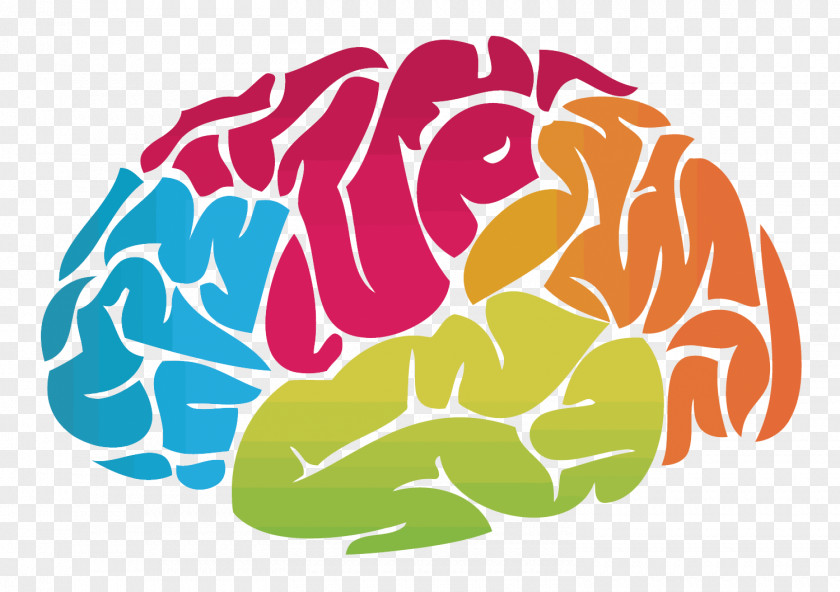 Vector Brain Human Clip Art PNG