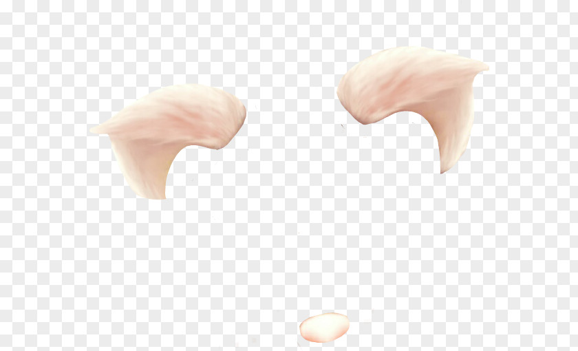 Cat Nose Earring PNG