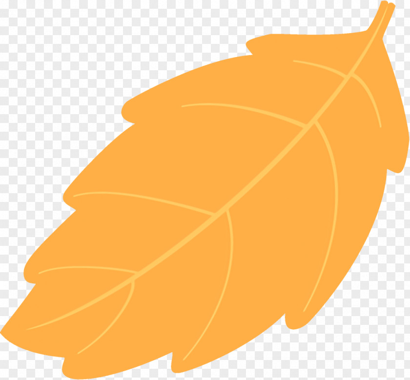 Deciduous Peruvian Groundcherry Autumn Leaf Fallen Dead PNG