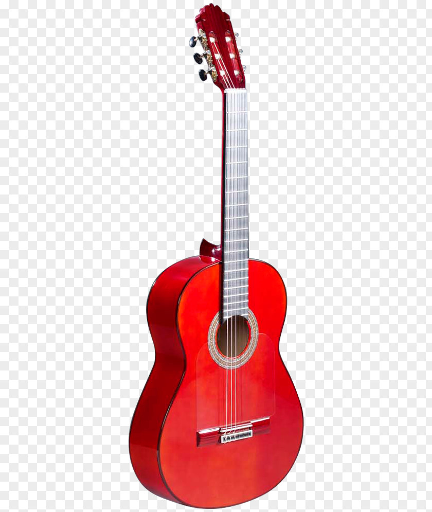 Flamenco Madrid Acoustic Guitar Electric Tiple Cuatro PNG