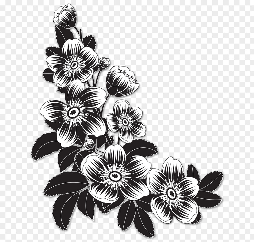 Flower Clip Art PNG