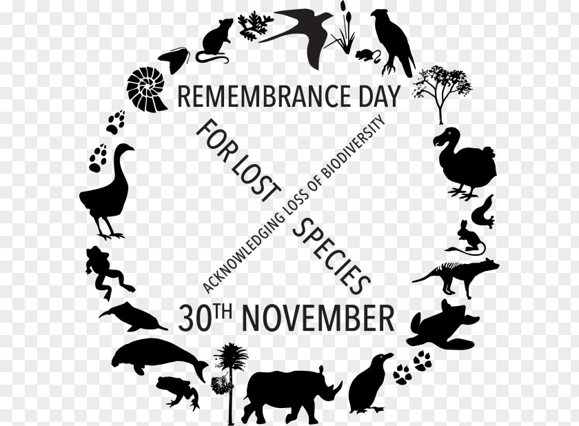 International Dalek Remembrance Day Holocene Extinction Armistice Pollution Poppy PNG