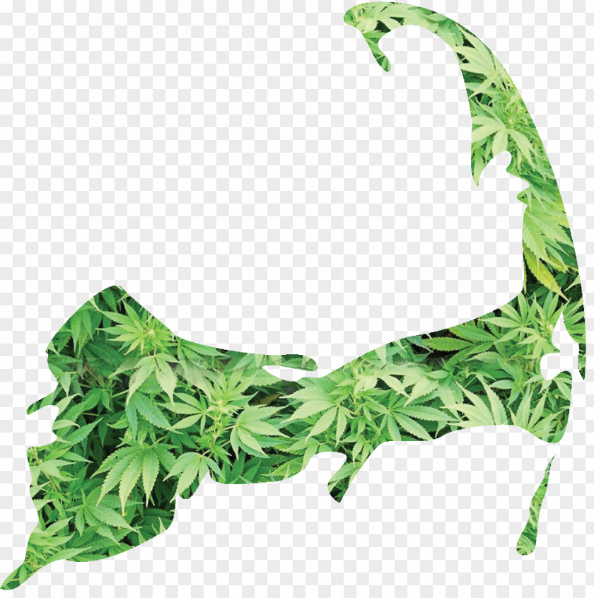 Joint Medical Cannabis Hemp Hash Oil PNG
