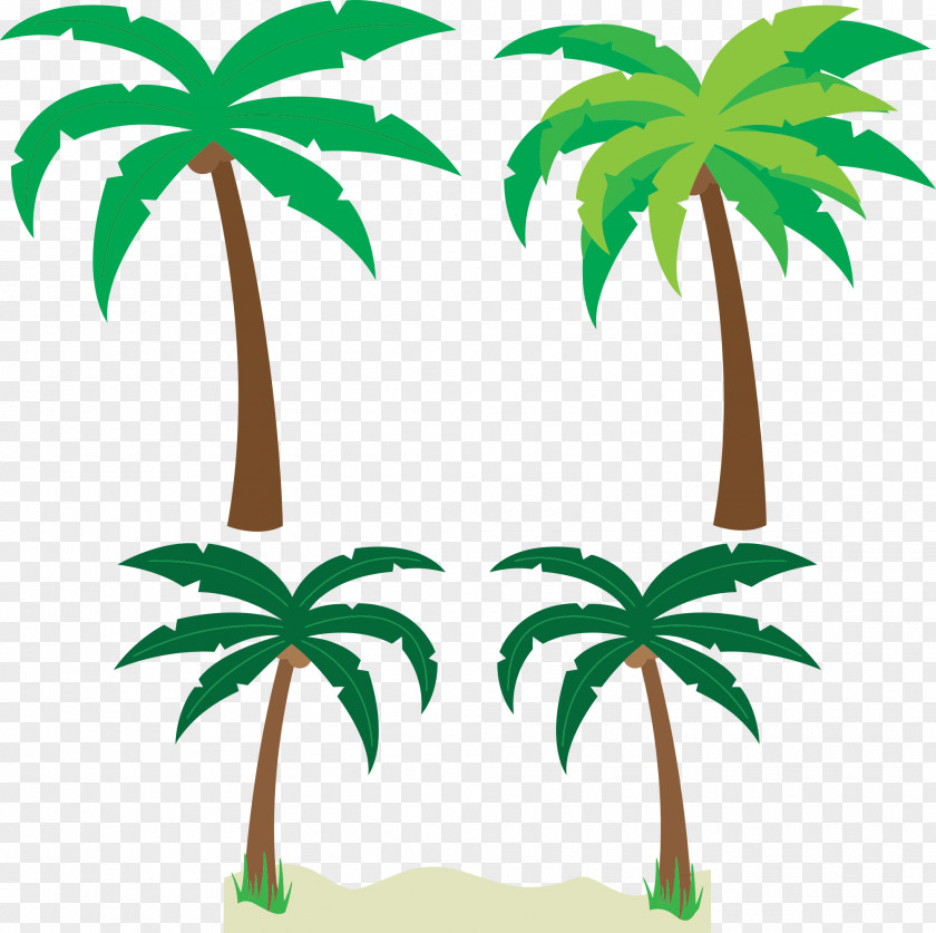 Palm Tree Arecaceae Animation Clip Art PNG